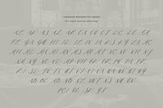Deuxieme Script Font, a Script Font by Courtney Rose Design (Thumbnail 8 of 14)