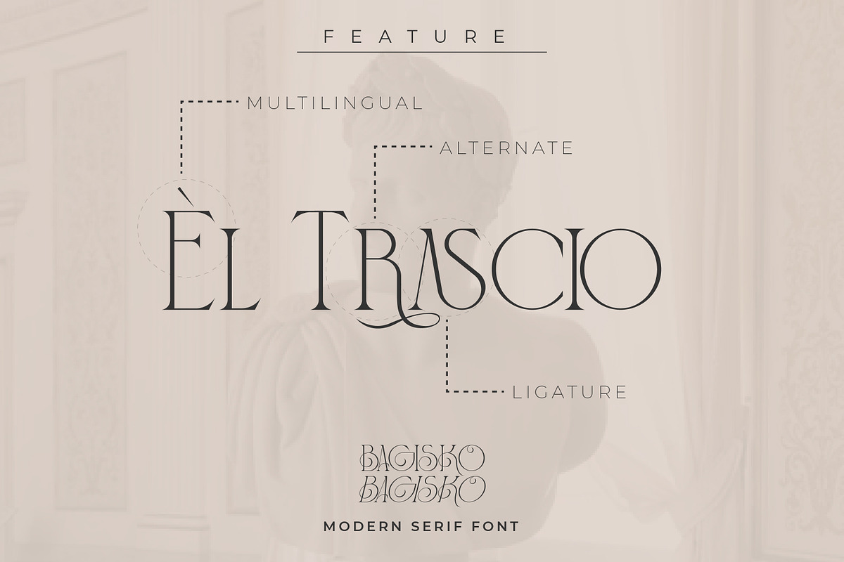 BAGISKO Modern Serif Font, a Serif Font by Storytype Studio (Photo 11 of 15)