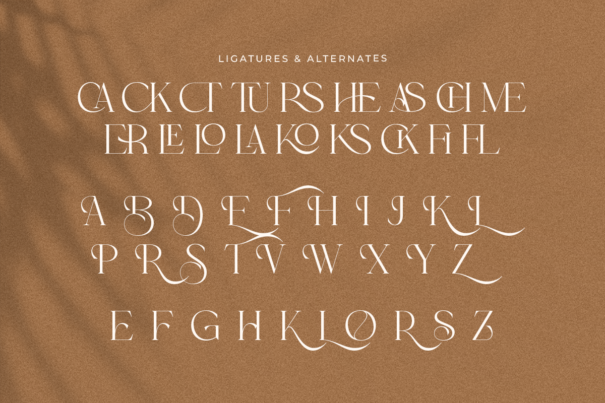 Cakorla - Modern Classy Serif, a Serif Font by Shakira Studio (Photo 8 of 10)