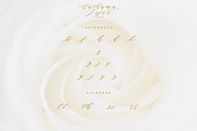Authumn Sofia | Calligraphy Font, a Script Font by Analogous (Thumbnail 13 of 16)