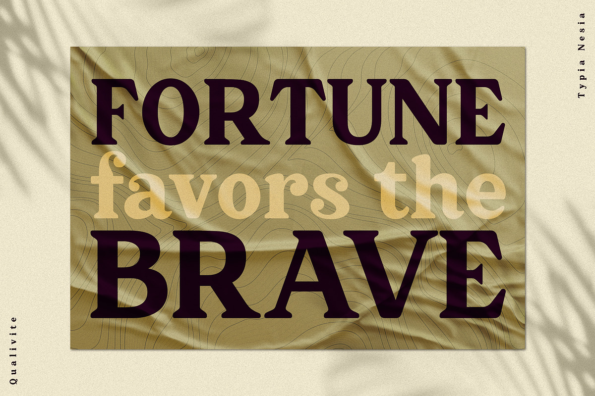 Qualivite Serif preview 2