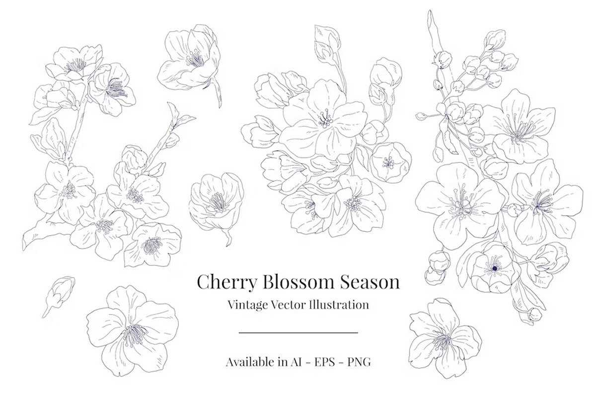 Cherry Blossom Season, a Decorative Illustration by FDR Studio