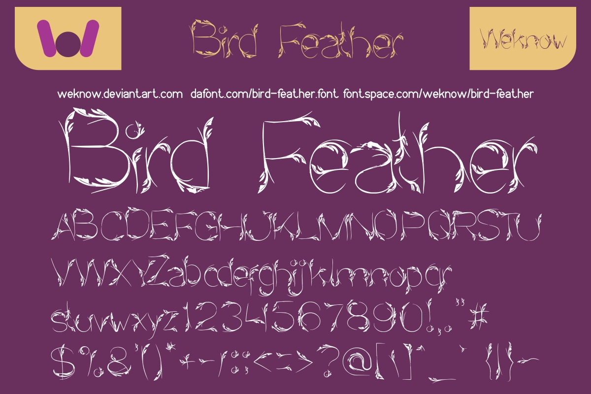 bird feather preview 4