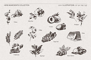 Botanical Herb Ingredients, a Healthcare Illustration by TheMountBirdStudio (Thumbnail 7 of 10)