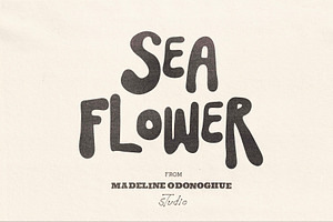 SeaFlower | Hand Drawn Surf Font, a Handwritten Font by Madeline ODonoghue Design