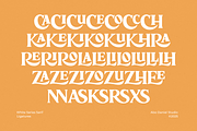 White Series, a Serif Font by Abo Daniel Studio (Thumbnail 13 of 14)