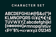 Neue Celso - Family Sans Serif, a Sans Serif Font by Marvadesign (Thumbnail 9 of 11)