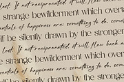 Aurora Magnollia Font Duo, a Serif Font by Storytype Studio (Thumbnail 7 of 15)