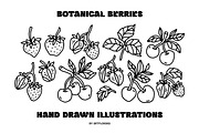 Hand Drawn BOTANICAL BERRIES, an Object Graphic by Artflorara (Thumbnail 5 of 9)