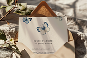 Azure - Blue Butterflies Clipart, a Decorative Illustration by ThaismotaCreativeCo (Thumbnail 3 of 8)