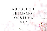 Banny Sans Serif Font Family, a Sans Serif Font by Creativetacos (Thumbnail 2 of 6)