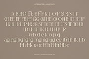 Terquiny - Modern Luxury Serif, a Serif Font by Shapespired Design (Thumbnail 10 of 17)