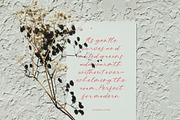 Hevling Justien Bold Brush Font, a Script Font by Letterena Studios Script (Thumbnail 10 of 15)