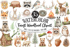 Watercolor Forest Woodland Clipart, an Illustration by Designking