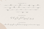 Bringelo Handwritten Wedding Font, a Script Font by moriztype (Thumbnail 13 of 15)
