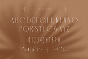 Clover Elegant Serif Font, a Serif Font by Perfectype (Thumbnail 10 of 10)