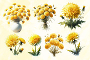 Watercolor Dandelion Clipart, a Work Illustration by Dream Creation (Thumbnail 3 of 5)