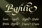 Dh Alani Rosle - 16 Branding Family, a Serif Font by Dharmas Foundry (Thumbnail 14 of 15)