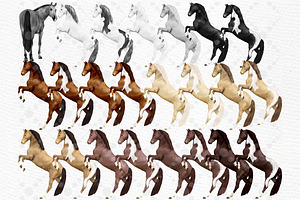 Watercolor Horse Clipart Horses Png