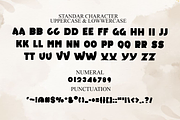 Dancer, a Script Font by InermediaSTUDIO (Thumbnail 3 of 8)