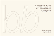 Neue Mexico Mono, a Sans Serif Font by MEG BURK CHOI (Thumbnail 2 of 3)