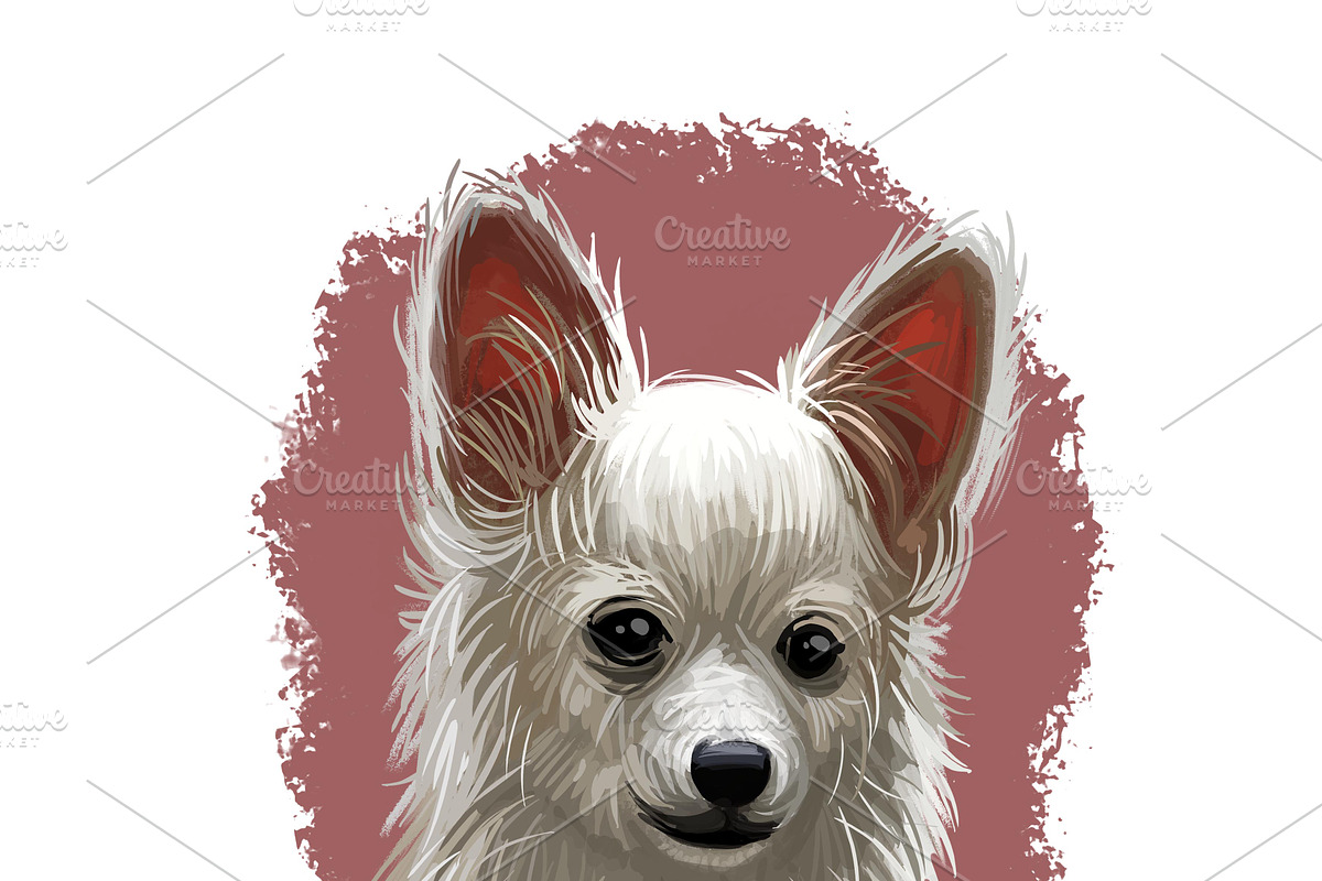 Puppies Dog Breeds Big Bundle 135Pcs, an Animal Illustration by Dneprstock (Photo 53 of 68)