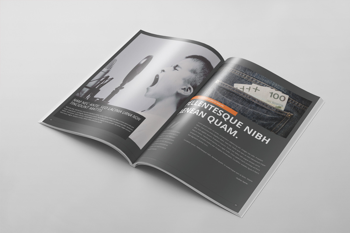 Magazine Template 60, a Magazine Template by pmvch (Photo 11 of 11)