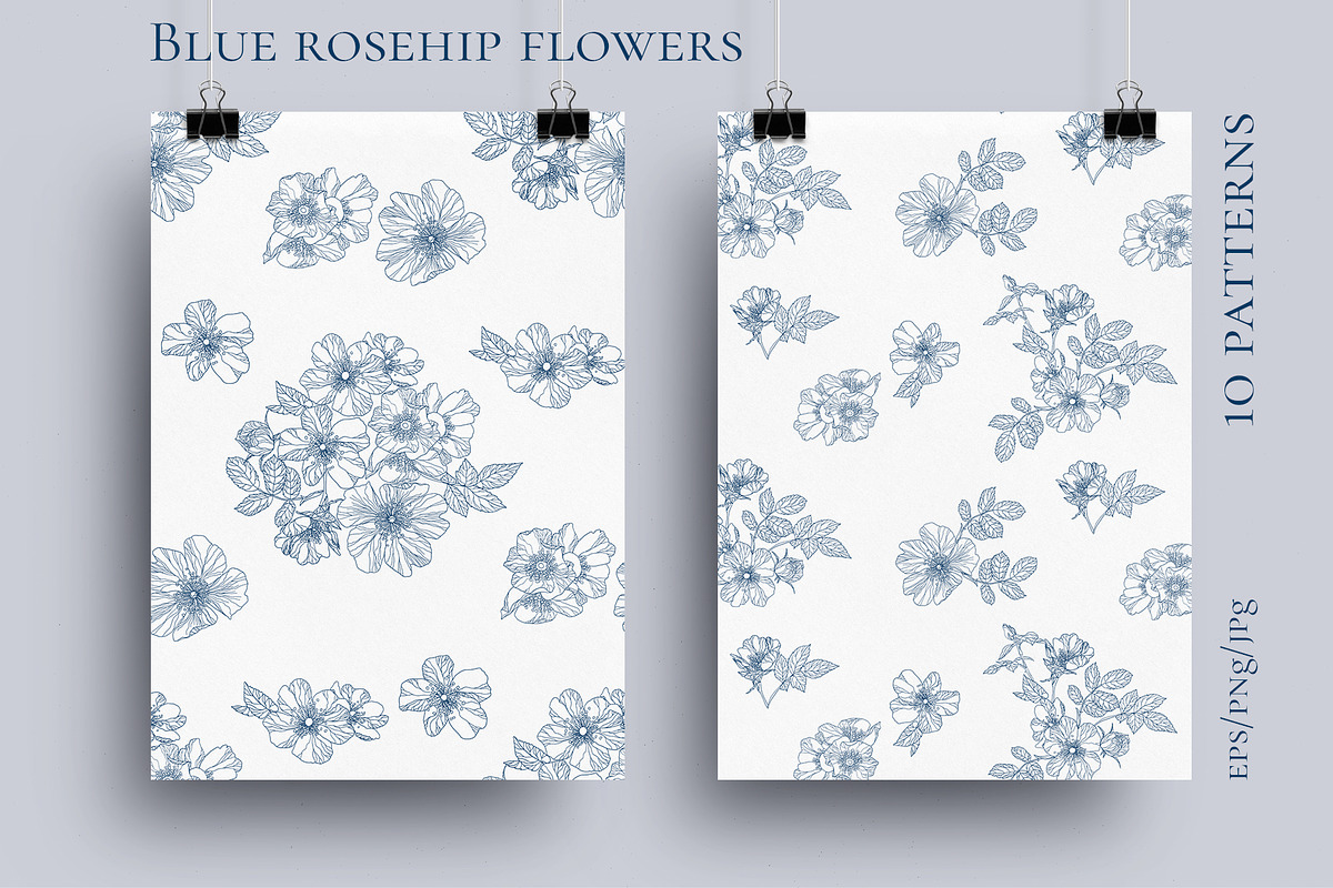 Blue rosehip flowers, a Decorative Illustration by LanaDzi (Photo 3 of 12)