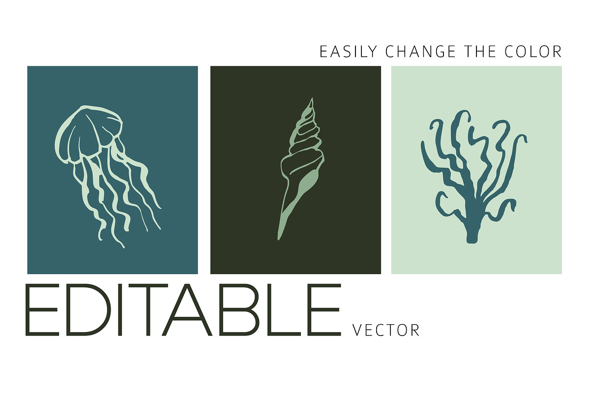 INKED SEALIFE hand drawn vector set, an Animal Illustration by Lena Nikolaeva (Photo 9 of 11)