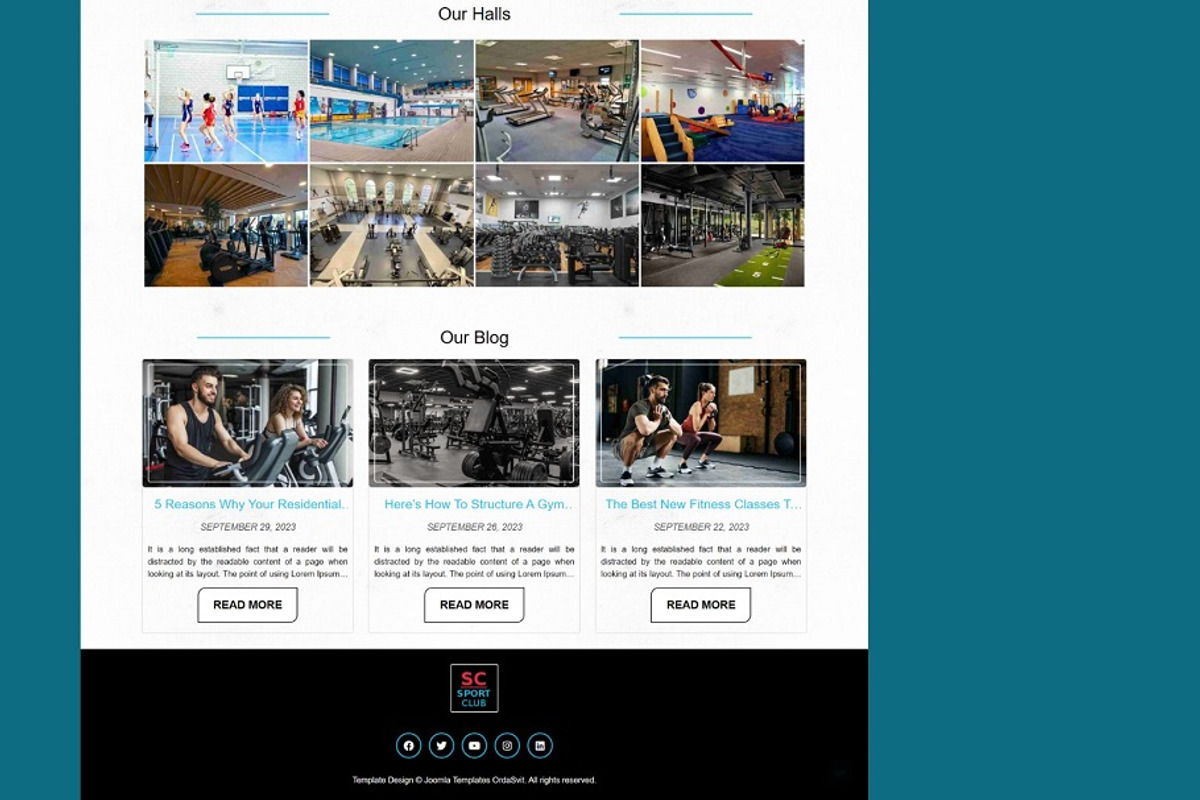 Sport Club - Sports WordPress Theme, a WordPress Template by Ordasoft (Photo 3 of 3)