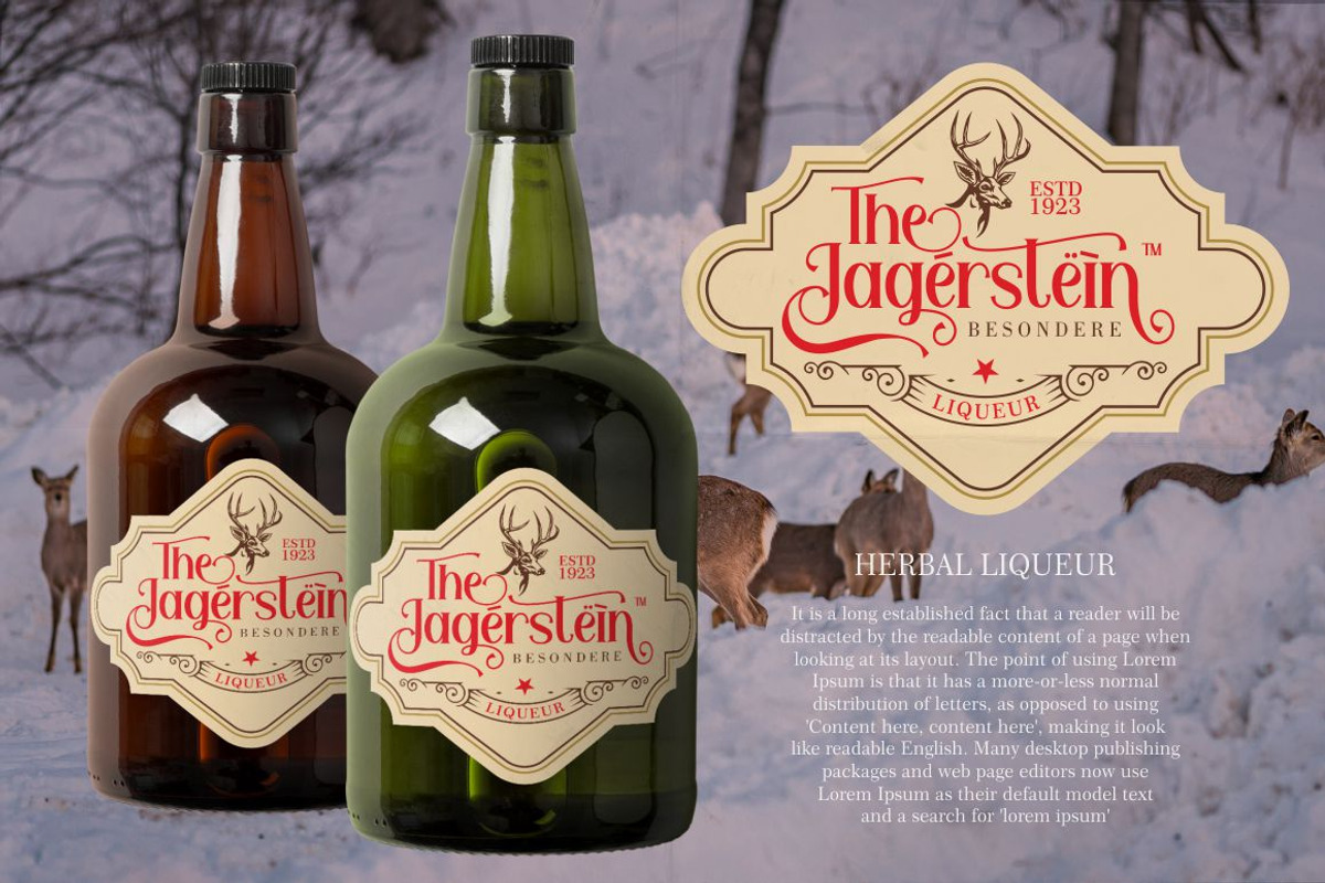 Feldberg - Elegant Luxury Serif Font, a Serif Font by PutraCetol Studio (Photo 8 of 11)