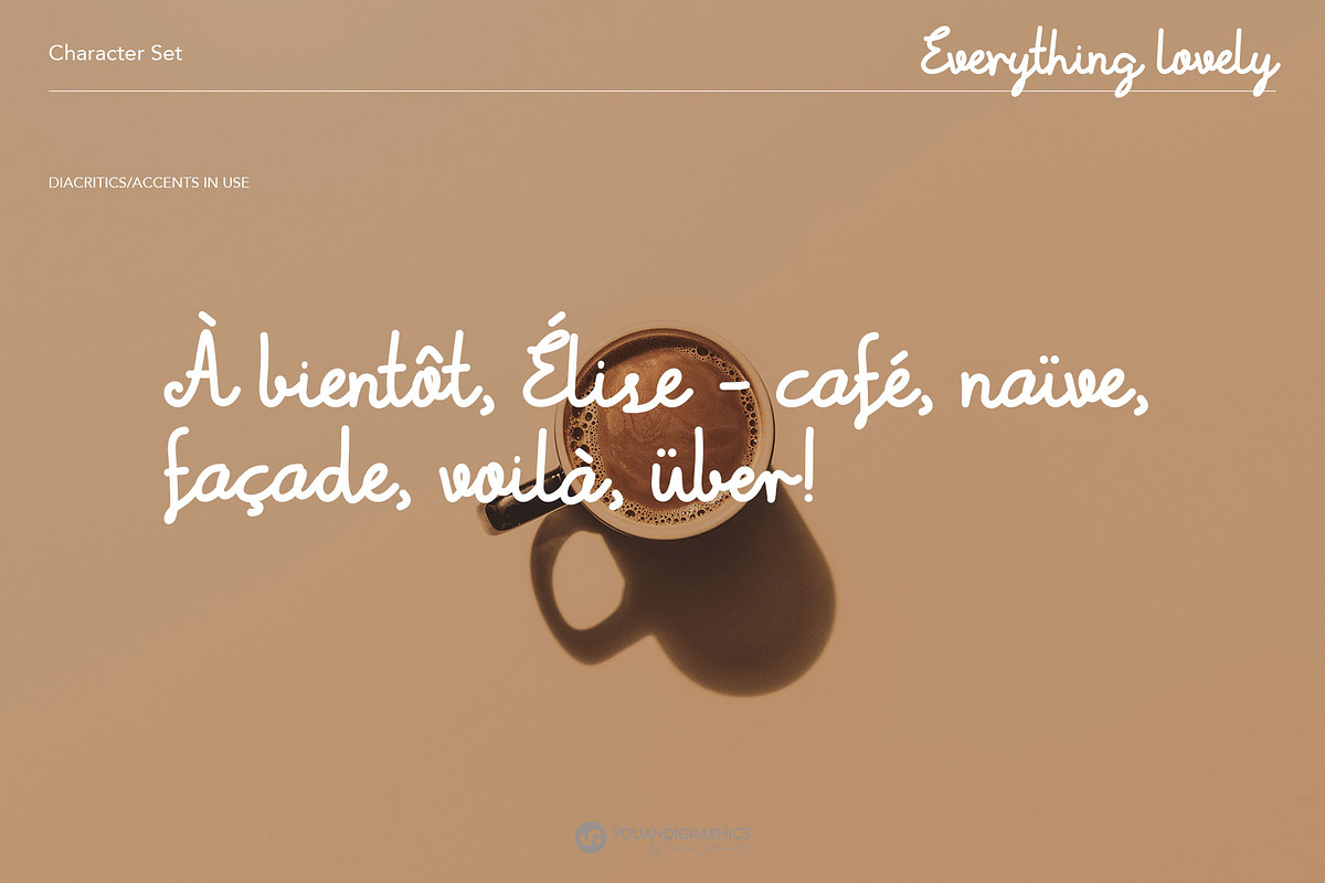 Everything Lovely Script Font, a Script Font by Youandigraphics (Photo 11 of 12)