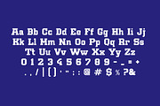 Dustforge Athletic Sports Font, a Slab Serif Font by Serbaneka Studio (Thumbnail 5 of 8)