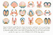 Seashell Illustration Clipart Set, an Illustration by Libby Wishes (Thumbnail 3 of 8)