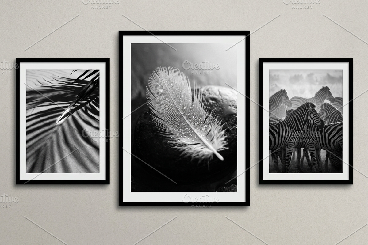 30 Black and White Nature Wall Art, a Nature Photo by Image for Sale (Photo 3 of 3)