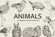Hand Drawn Animals, an Animal Illustration by Artspace (Thumbnail 1 of 6)