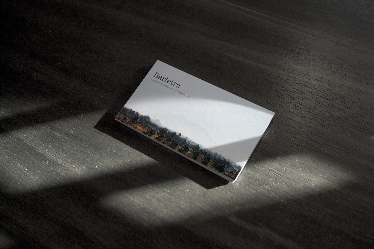Photo Business Card Mockups, a Print Template by Lifestyle Project (Photo 4 of 7)