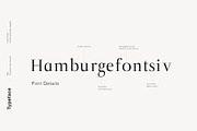 Naia - Sophisticated Serif Typeface, a Serif Font by Cassandra Cappello (Thumbnail 3 of 5)