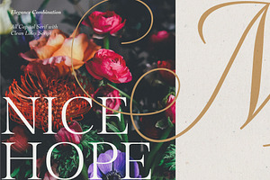 Gold Lines; Elegant Font Duo