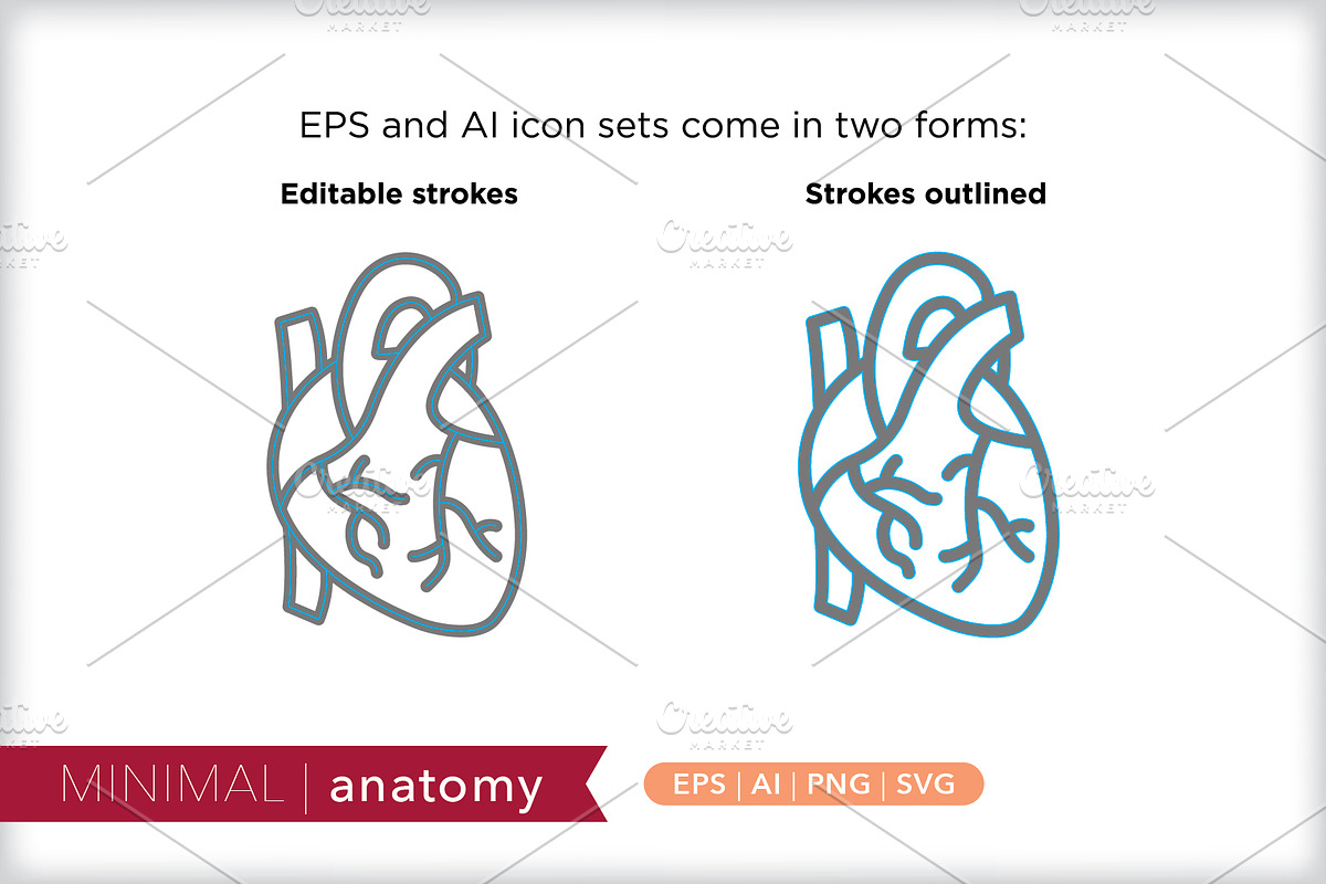 Minimal anatomy icons, an Outline Icon by Picture Window (Photo 3 of 5)