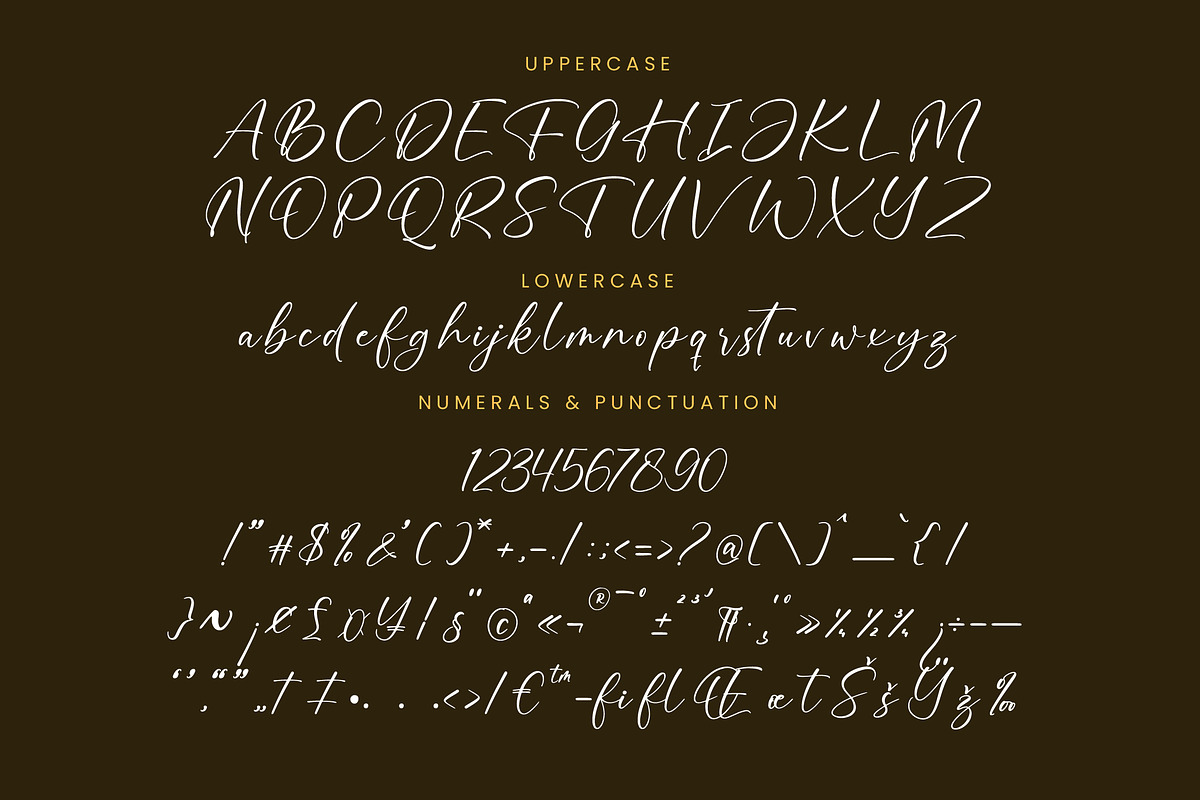 Bounty Amethysa Beautiful Script, a Script Font by Letterena Studios Script (Photo 13 of 15)