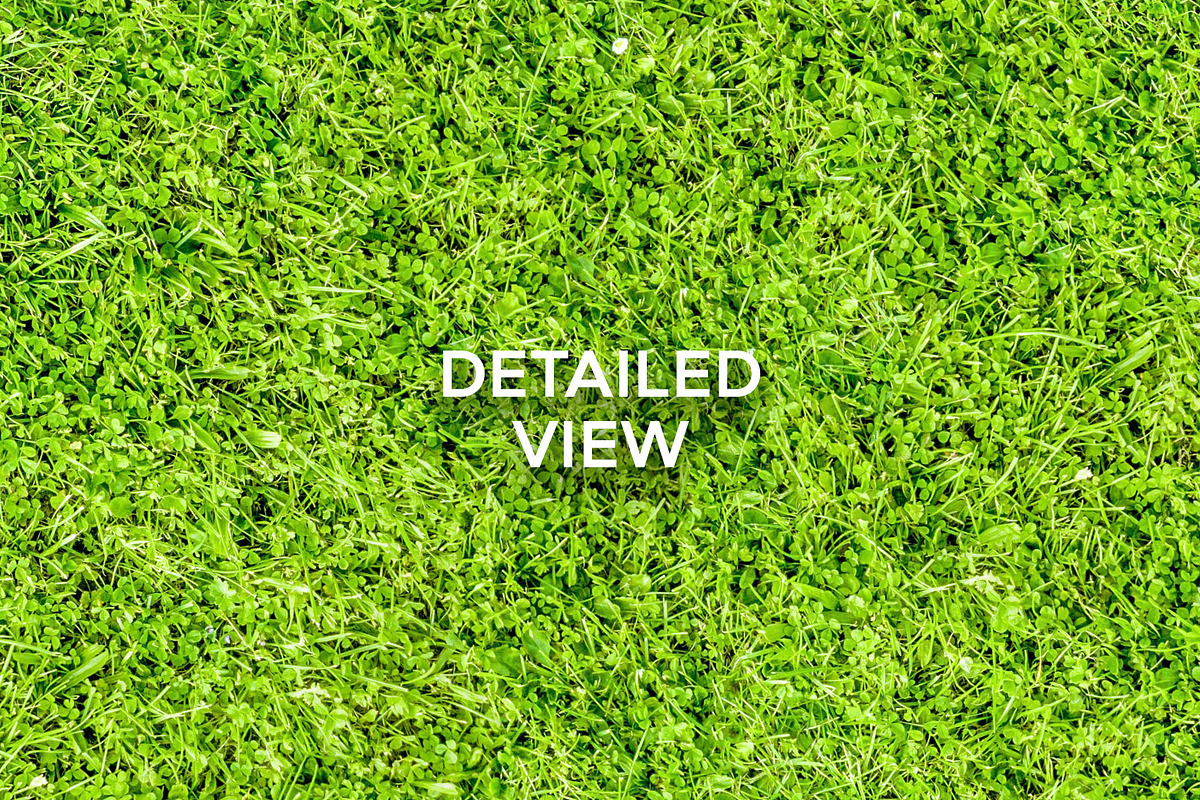 20 Seamless Grass Texture Pack, a Texture Graphic by Top Textures (Photo 4 of 9)