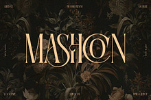Mashcon || Stylish Serif Font