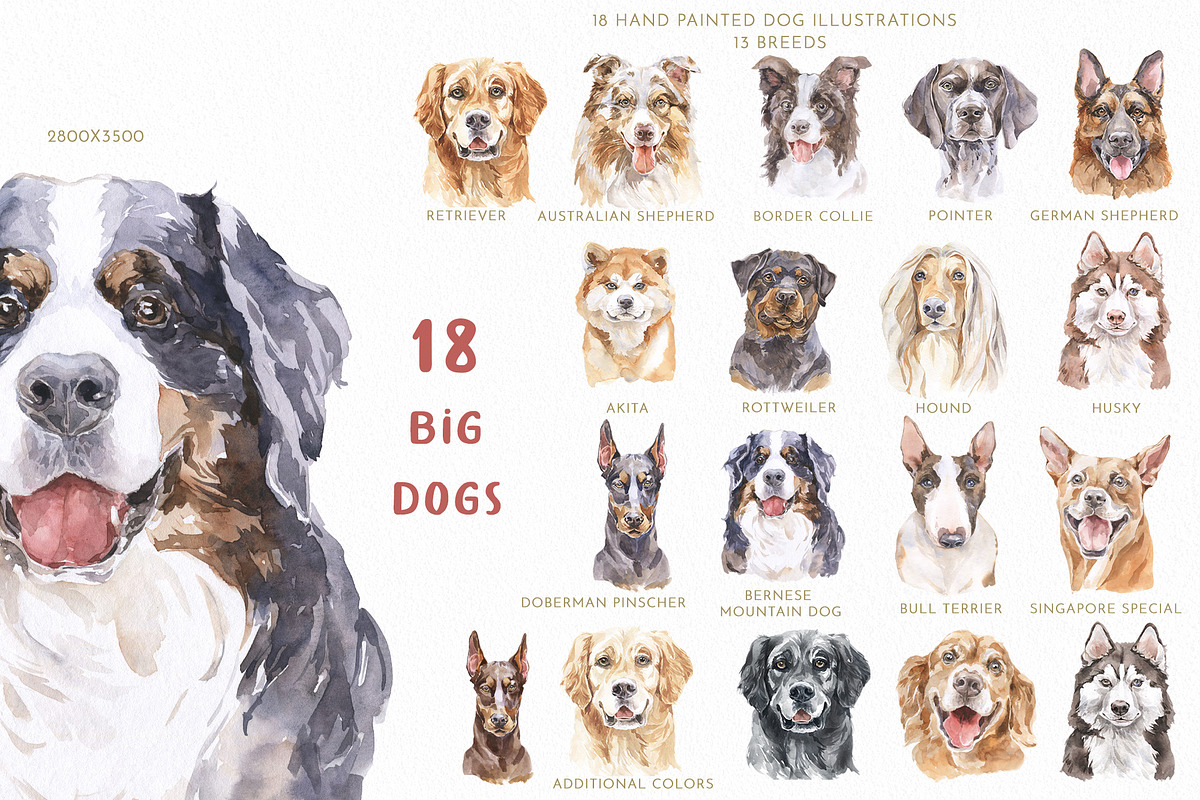 Dog Family Character Creator Clipart, an Animal Illustration by Cat In Colour (Photo 3 of 19)