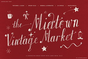 Moonlure – Textured Brush Script