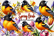 Spring Baltimore Oriole Clipart, a Work Illustration by OK Design (Thumbnail 1 of 4)