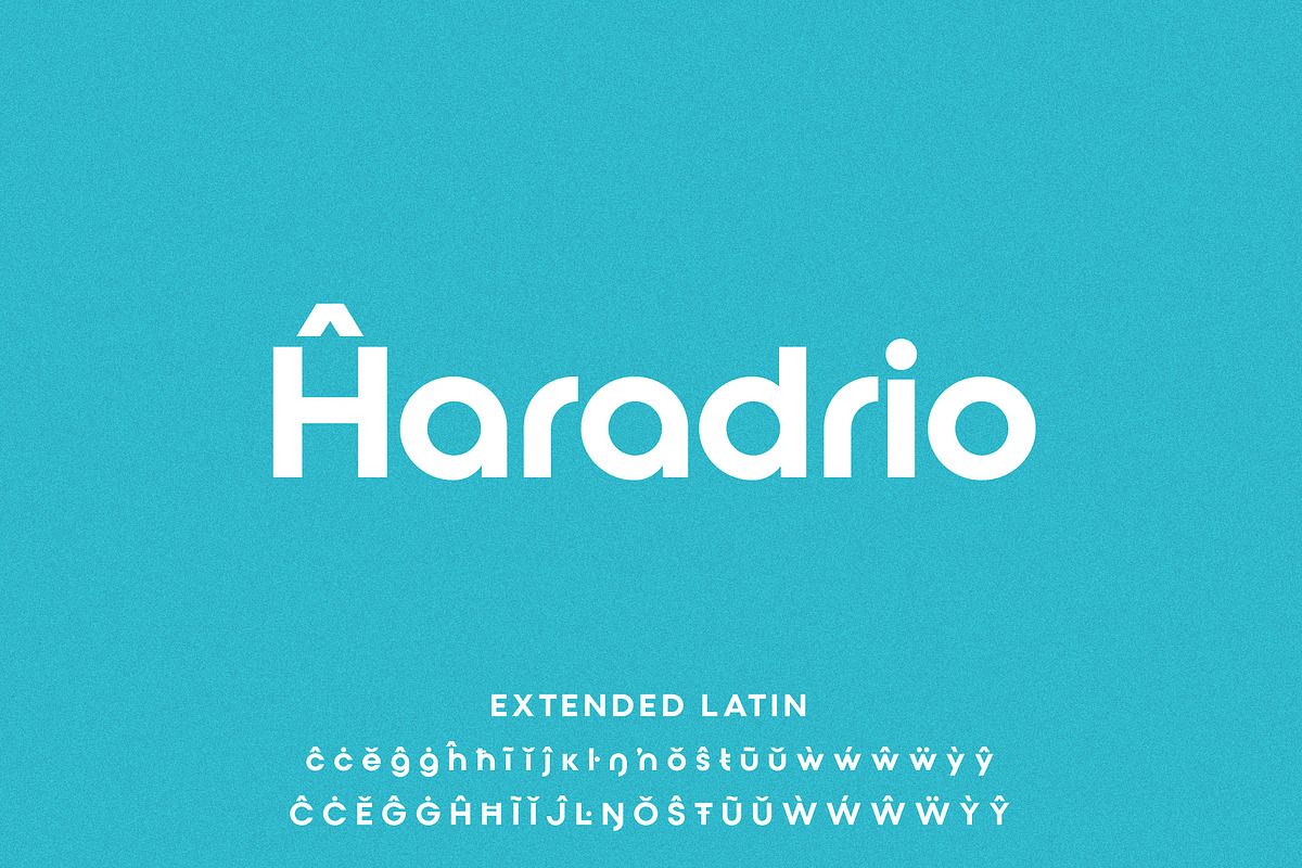 Qualy Logo Font, a Sans Serif Font by Shina Design (Photo 7 of 9)