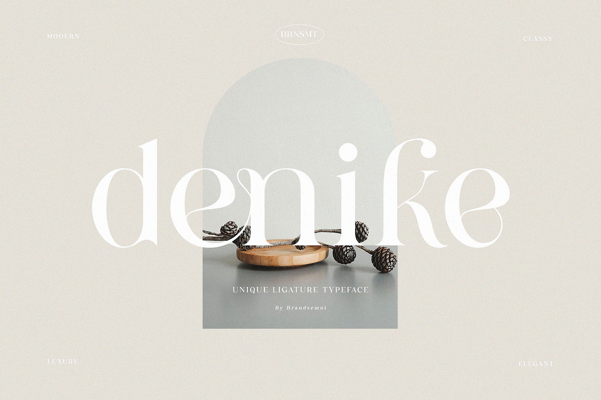 Denike || Stylish Modern Serif, a Serif Font by BrandSemut (Photo 1 of 11)