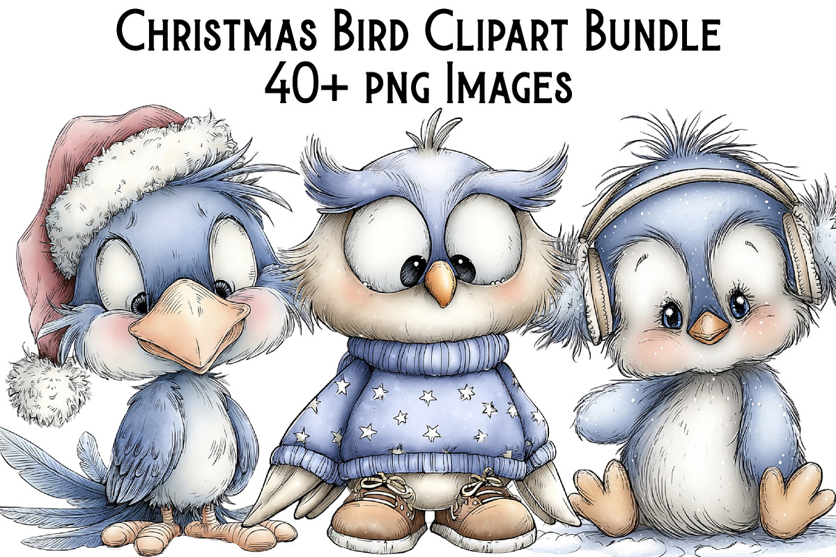 Christmas Bird Clipart Bundle, an Illustration by Pixels.Craft (Photo 1 of 6)