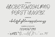 Through Script, a Script Font by moriztype (Thumbnail 8 of 11)